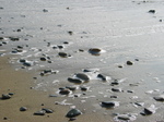 24997 Pebbles on beach.jpg